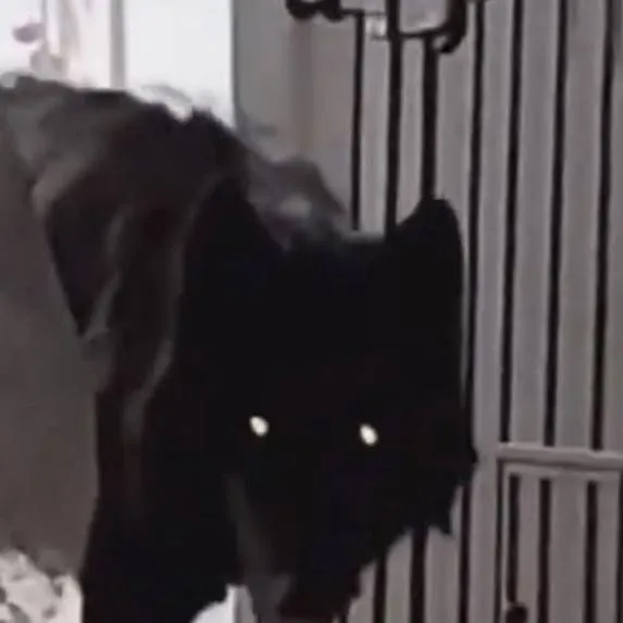 chat with ai character: yes