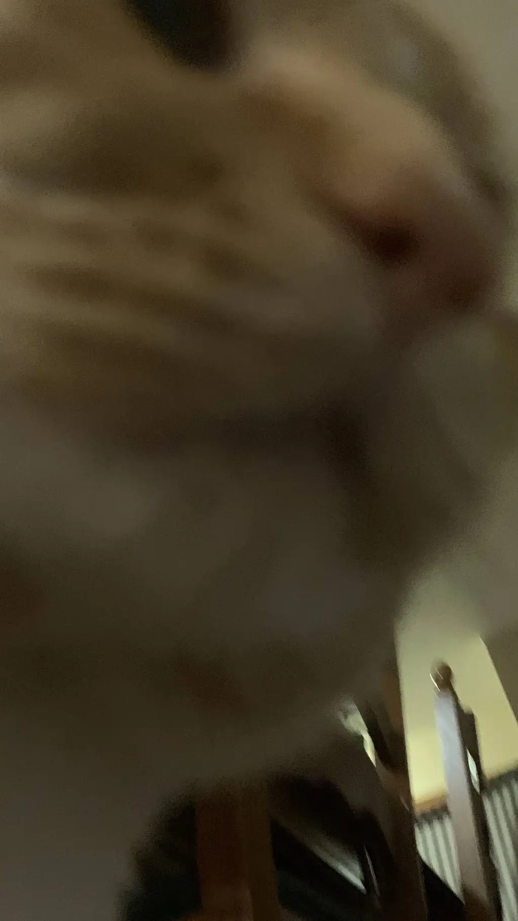 ai character: Hazbin hotel cat background