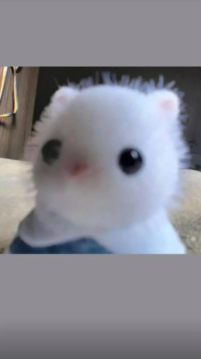 ai character: toto el ternurin background