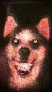 ai character: Smile Dog background