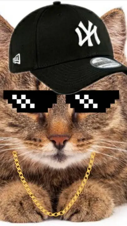 ai character: gato pro background