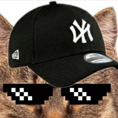 chat with ai character: gato pro