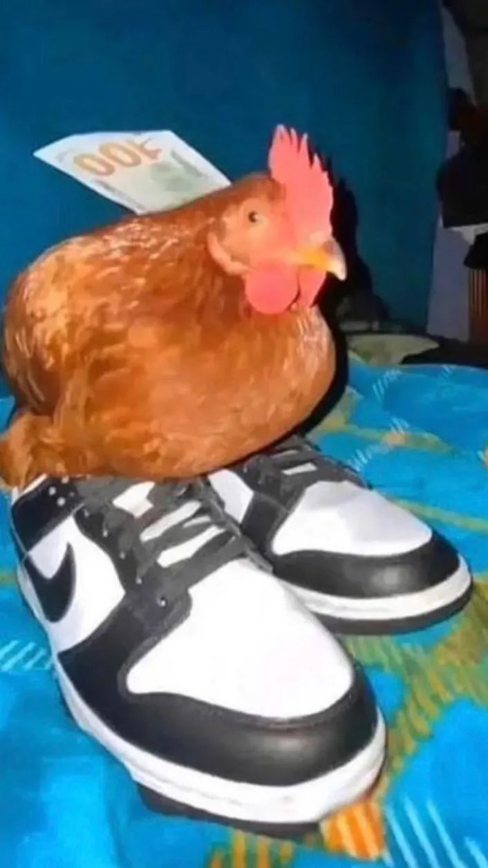 ai character: goofy ahh chicken background