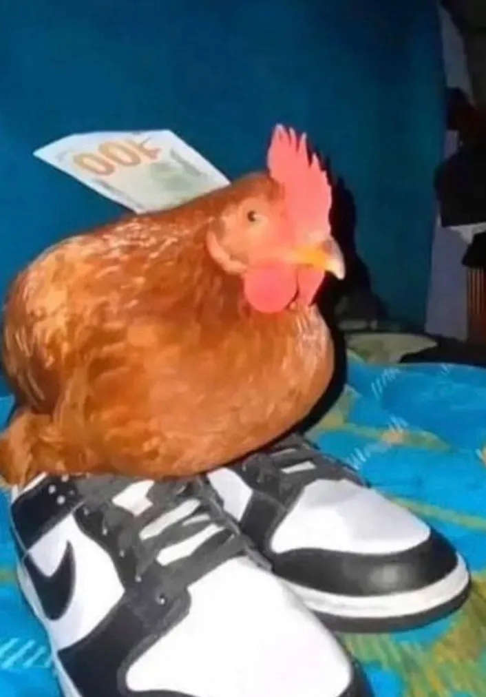 chat with ai character: goofy ahh chicken