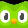 chat with ai character: Duolingo