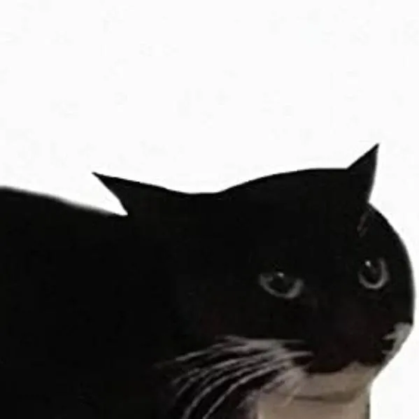 chat with ai character: Maxwell Cat