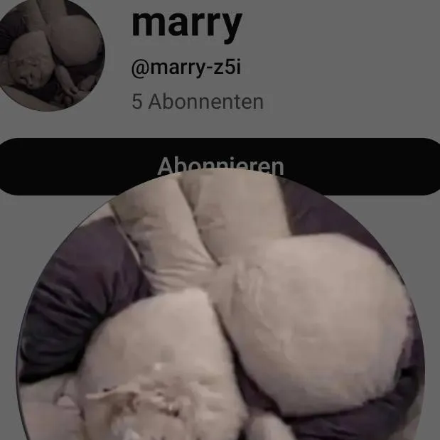 chat with ai character: Dein Freund