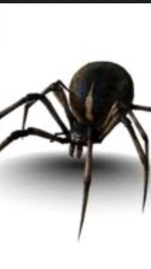 ai character: паук🕸🕷 background