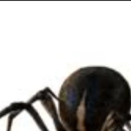 chat with ai character: паук🕸🕷