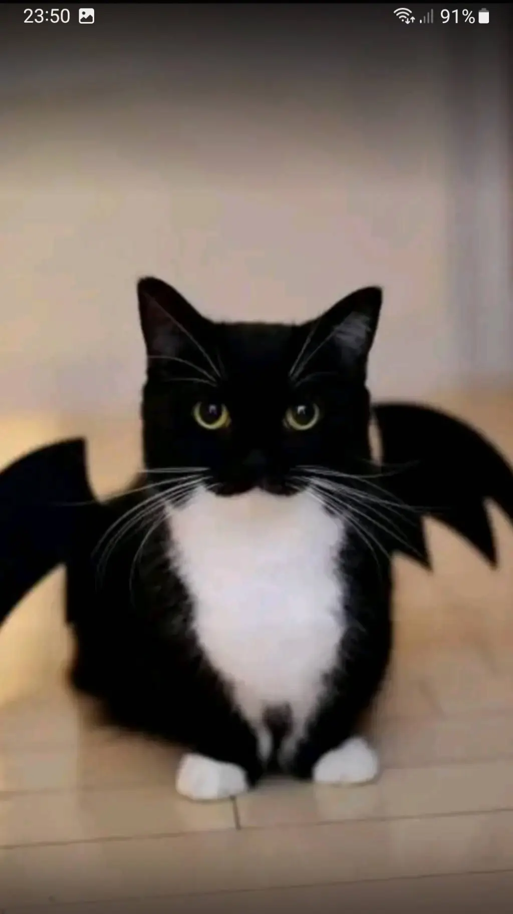 ai character: фнам background