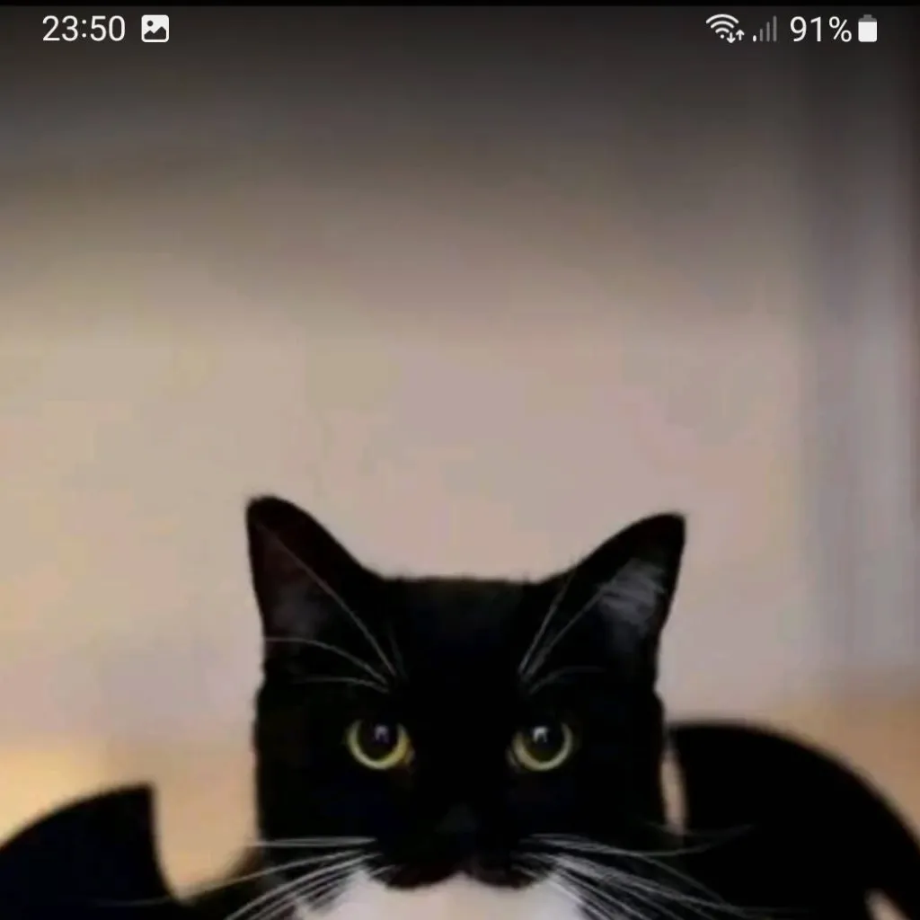 chat with ai character: фнам