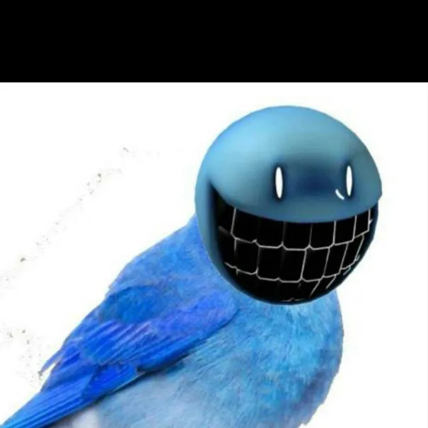 chat with ai character: Bird Dude￼