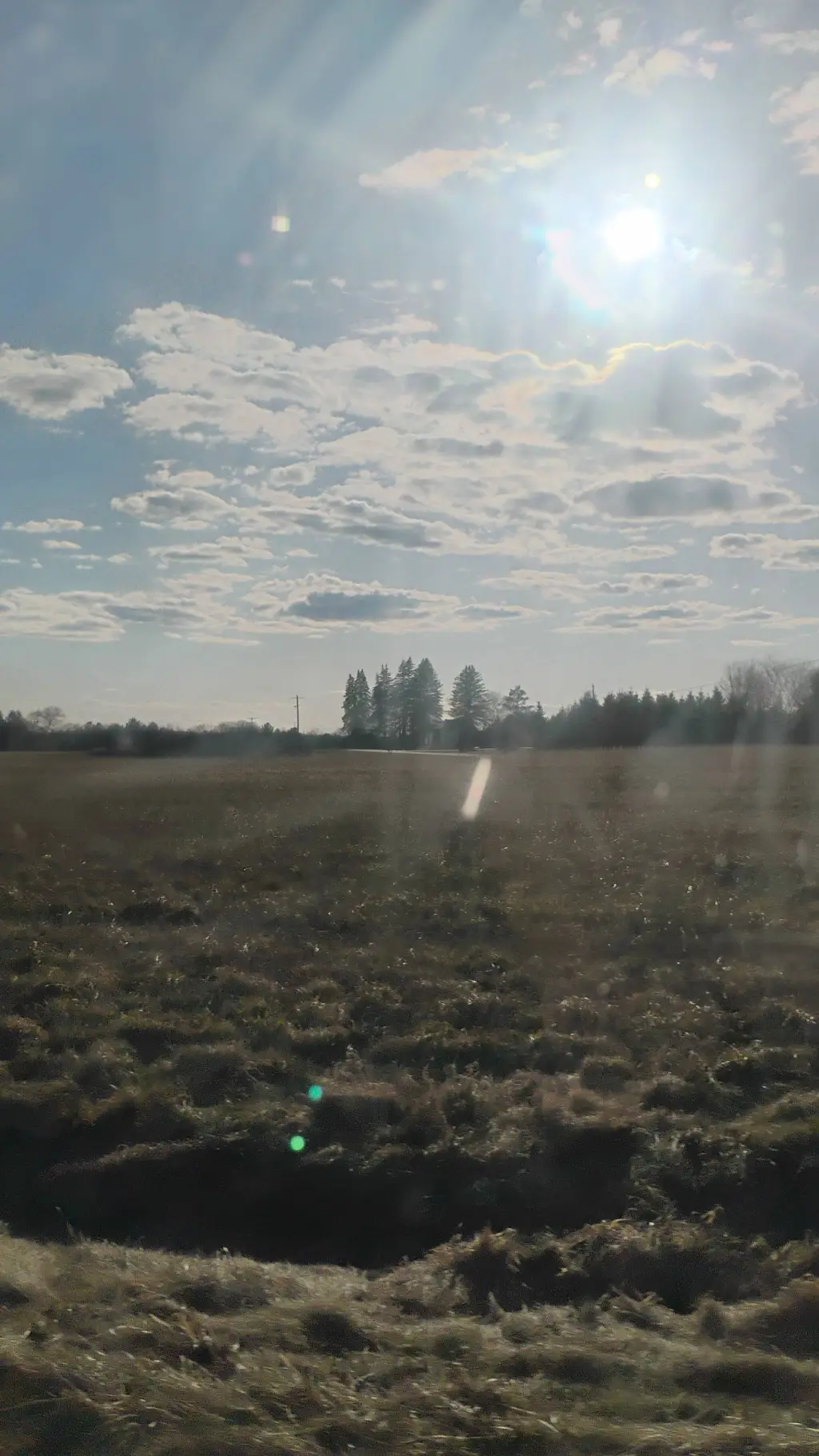 ai character: dw nice? background