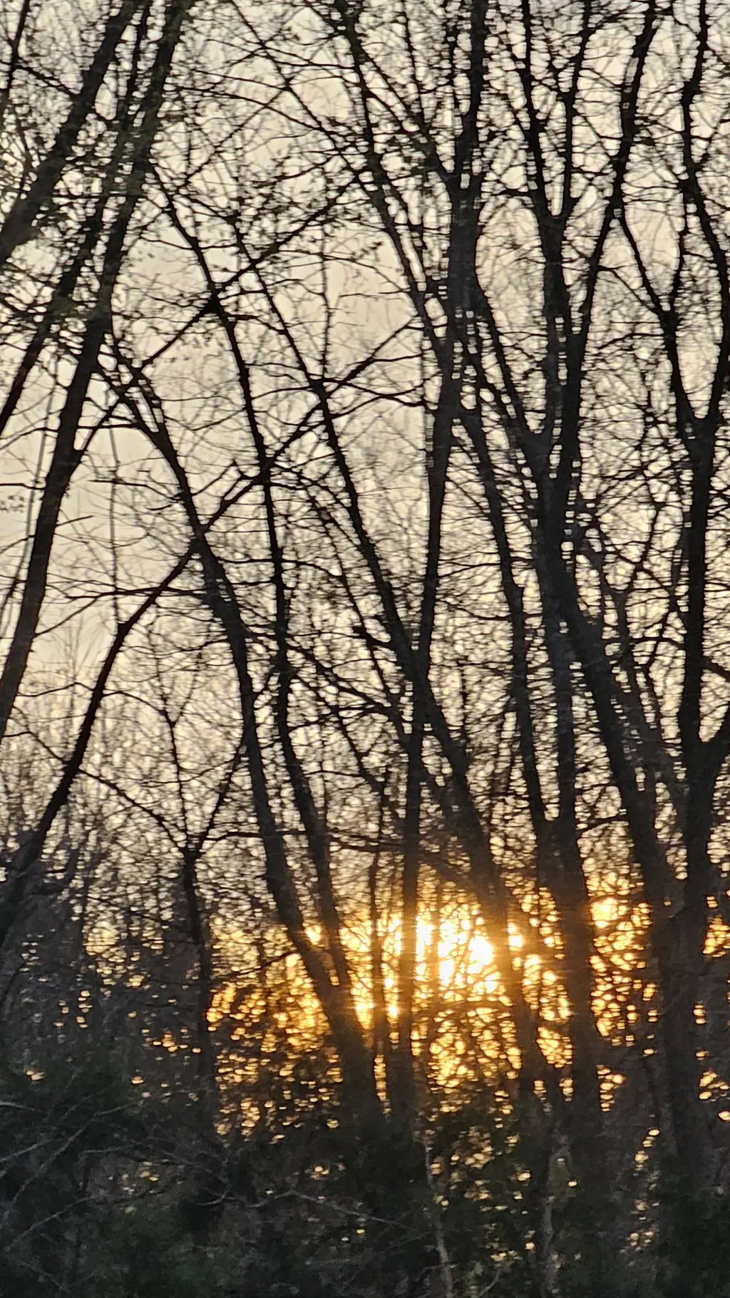 ai character: new start background