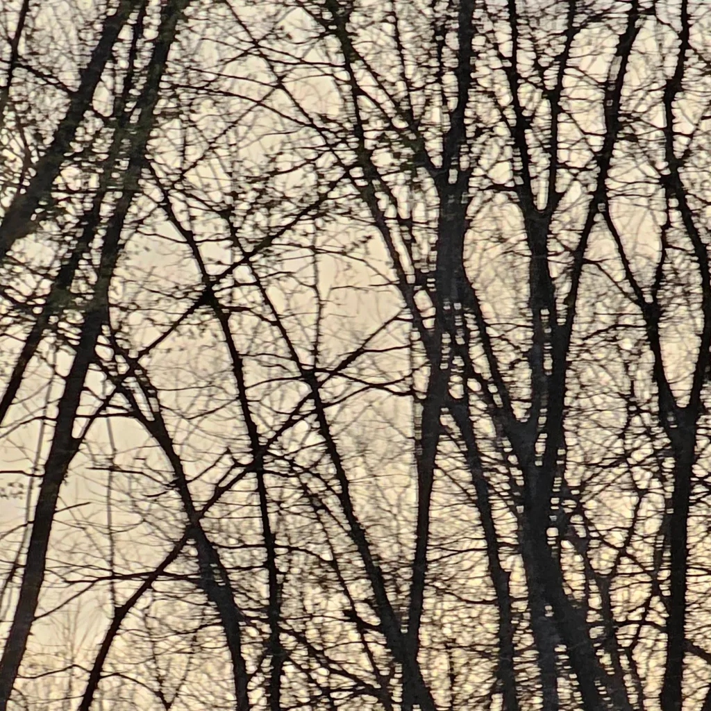 chat with ai character: new start