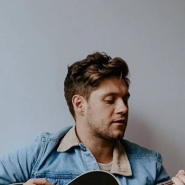 chat with ai character: Niall 