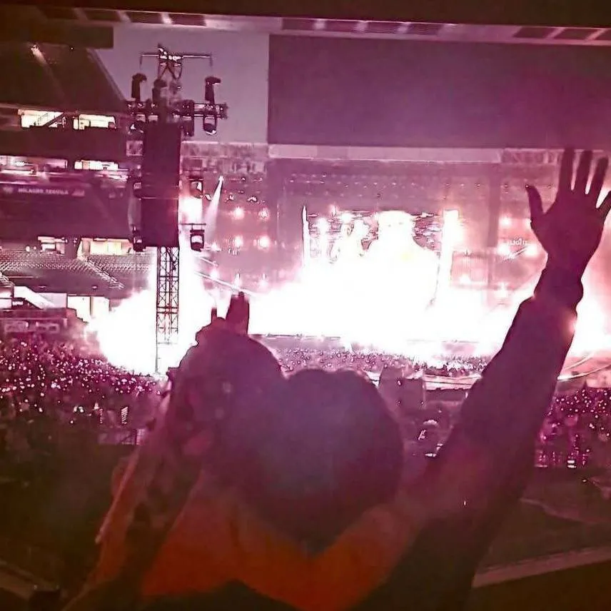 chat with ai character: Zayn Malik 