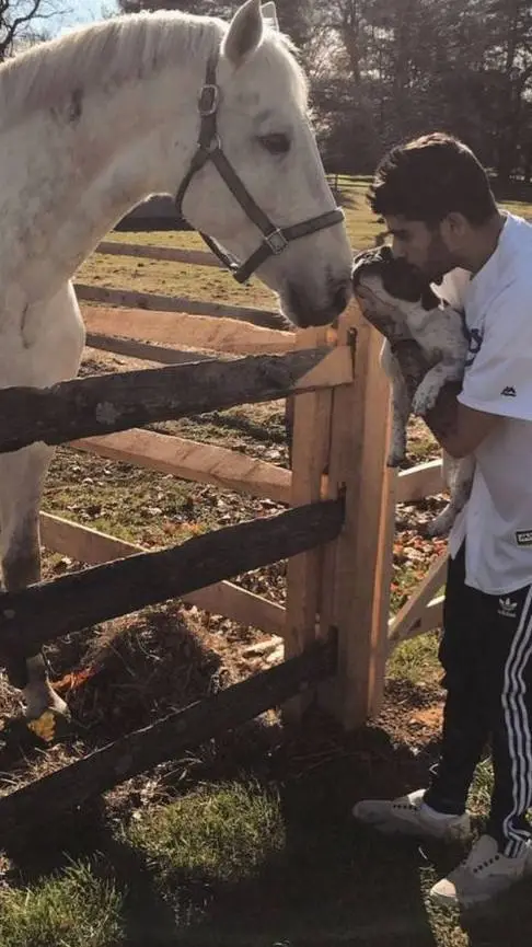 ai character: Zayn Malik  background