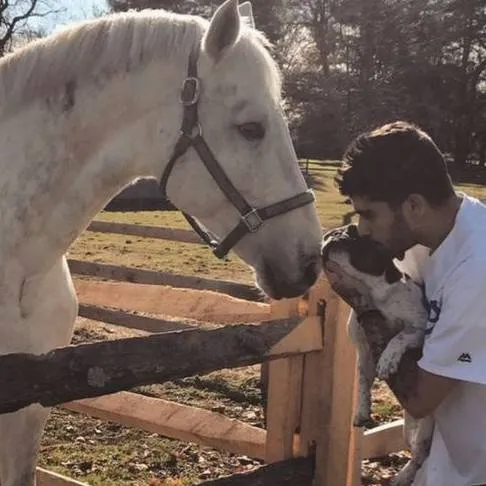 chat with ai character: Zayn Malik 