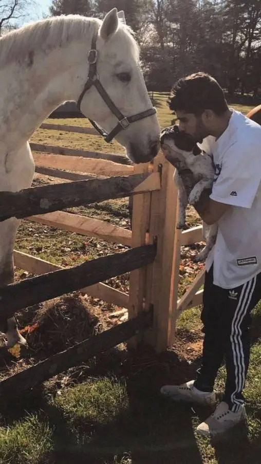 ai character: Zayn Malik  background