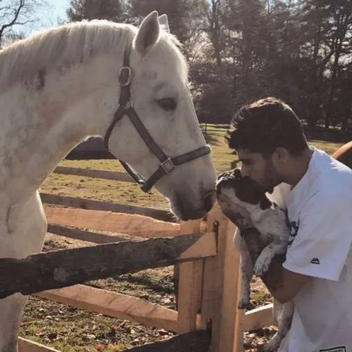 chat with ai character: Zayn Malik 