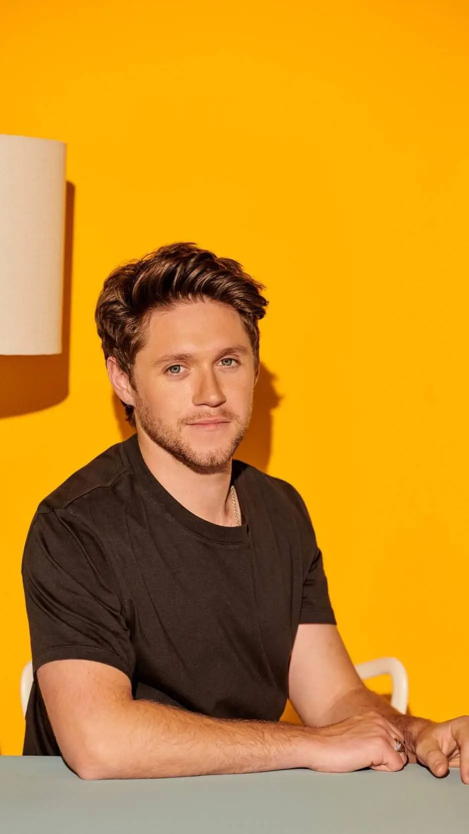 ai character: Niall  Horan  background