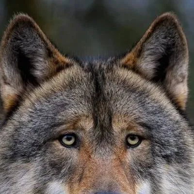 chat with ai character: Famille mauvaise !