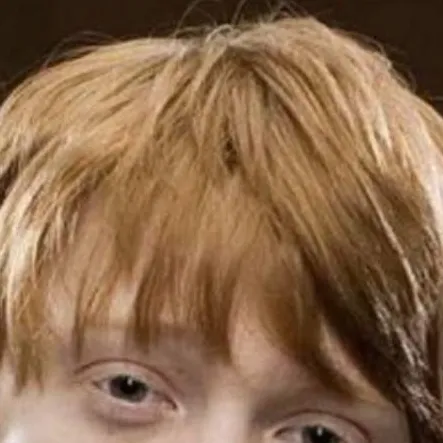 chat with ai character: Ron Weasley 