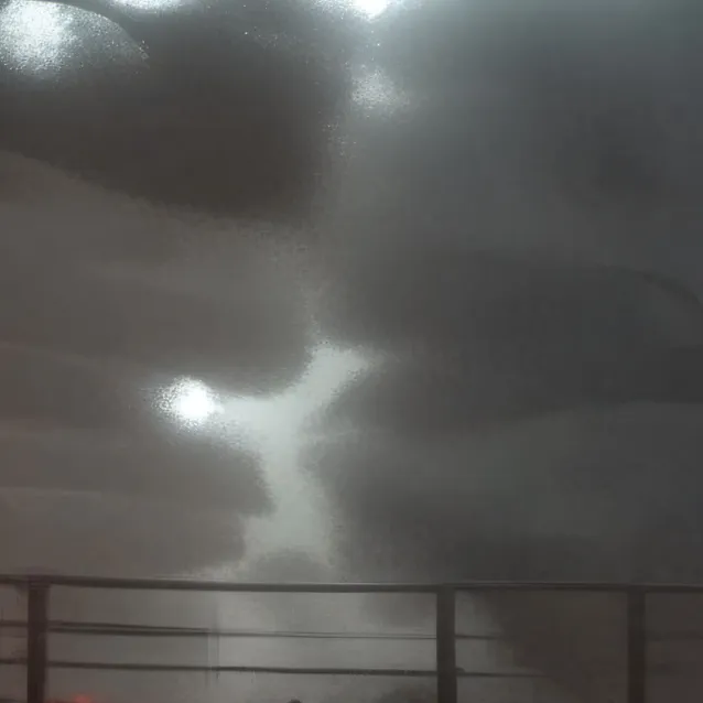 chat with ai character: vida de abelha