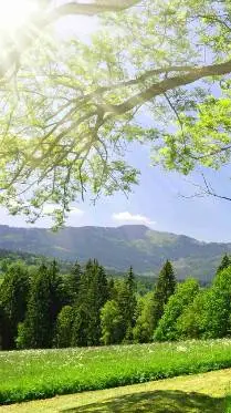 ai character: Crea tu Historia 4 background