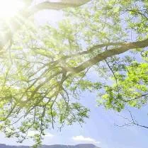 chat with ai character: Crea tu Historia 4