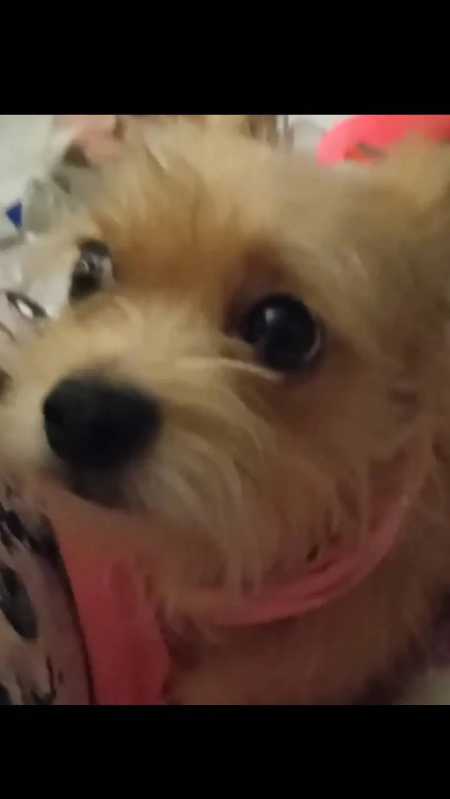 ai character: Meet th girl!  background