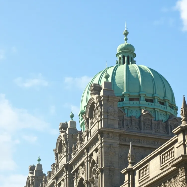 chat with ai character: PLDC