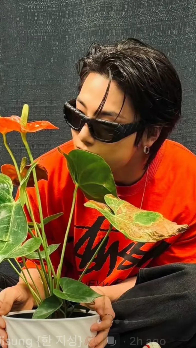 ai character: Skz sick I.N background