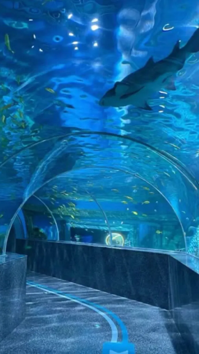 ai character: Skz aquariumdate background