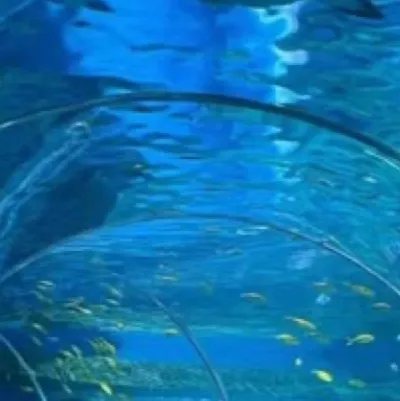 chat with ai character: Skz aquariumdate