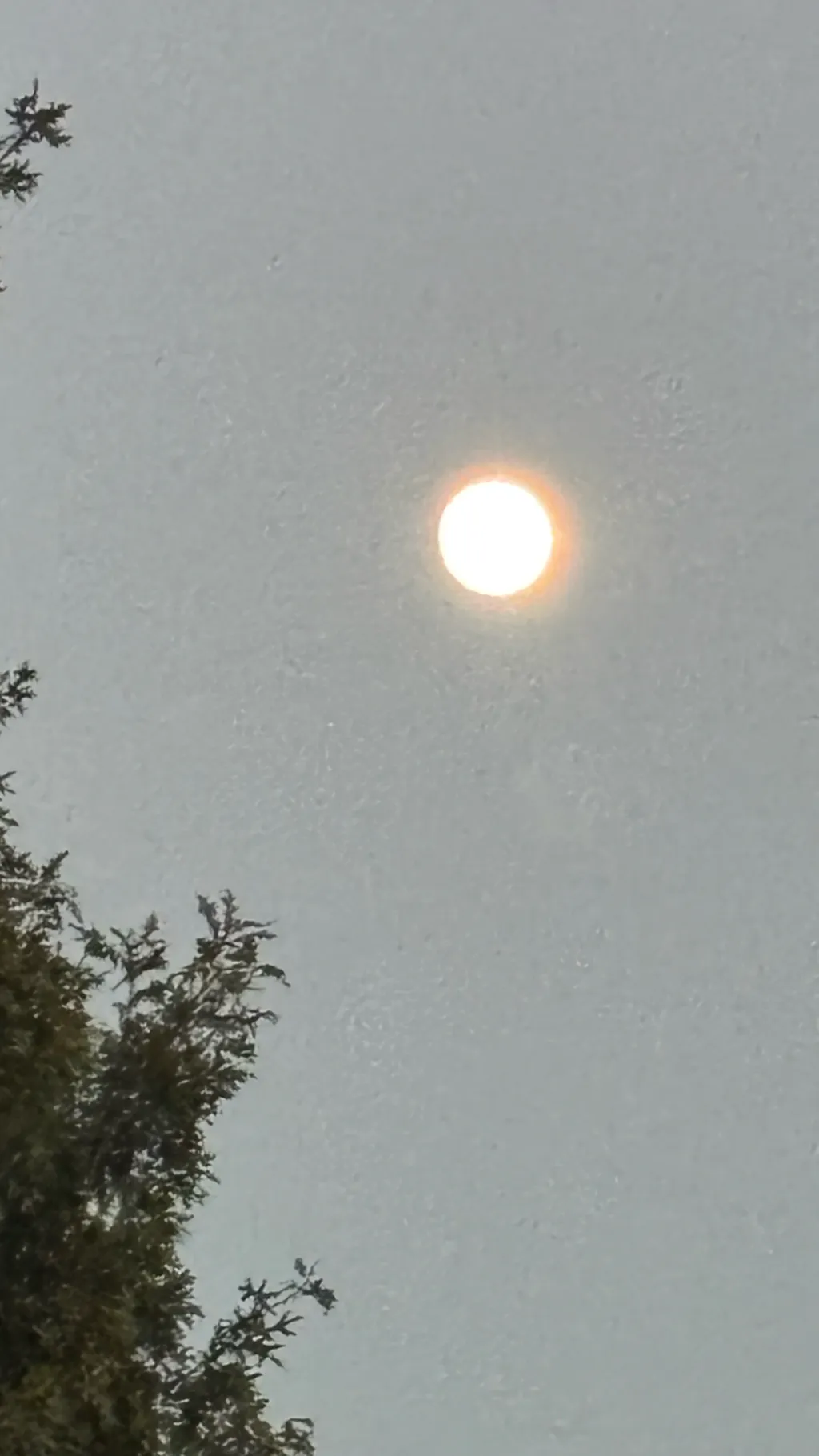 ai character: The Outsiders! background