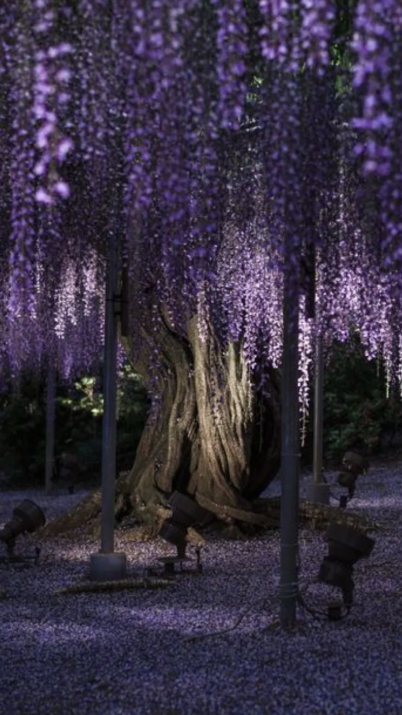 ai character: Skz princes! background