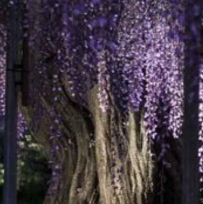 chat with ai character: Outsider’s kids!