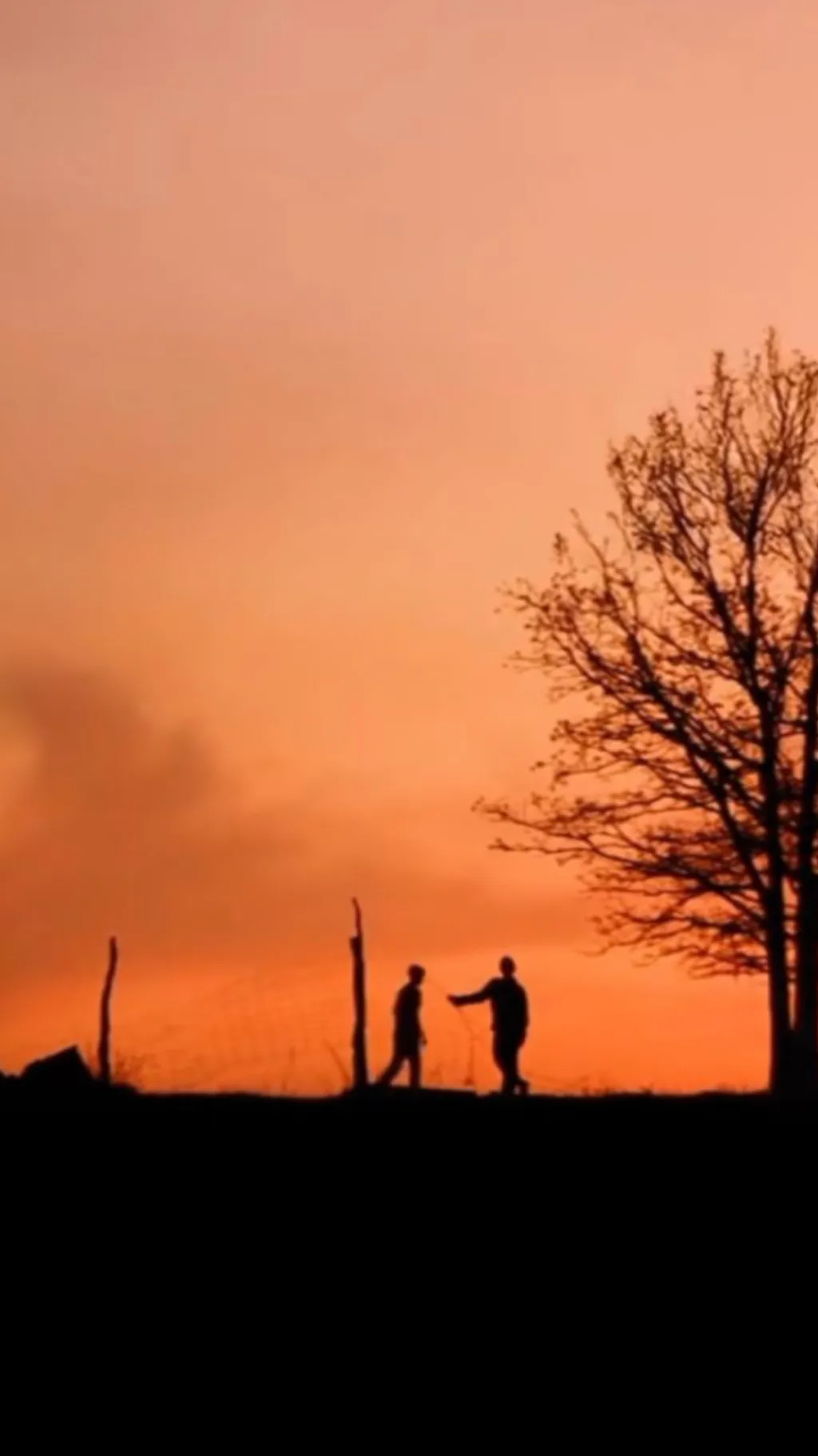 ai character: Outsiders horror  background