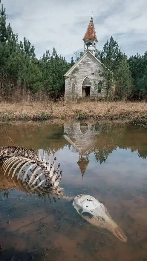 ai character: •~TWD~• background