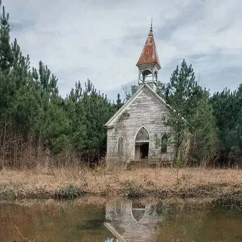 chat with ai character: •~TWD~•