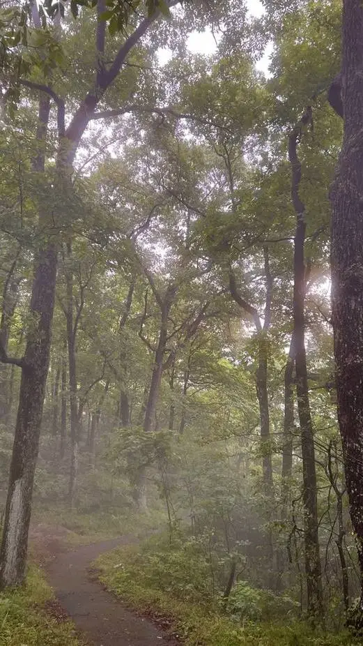 ai character: The walking dead  background