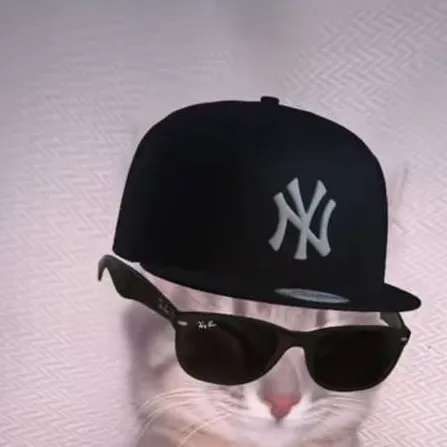 chat with ai character: Cool cat 😺