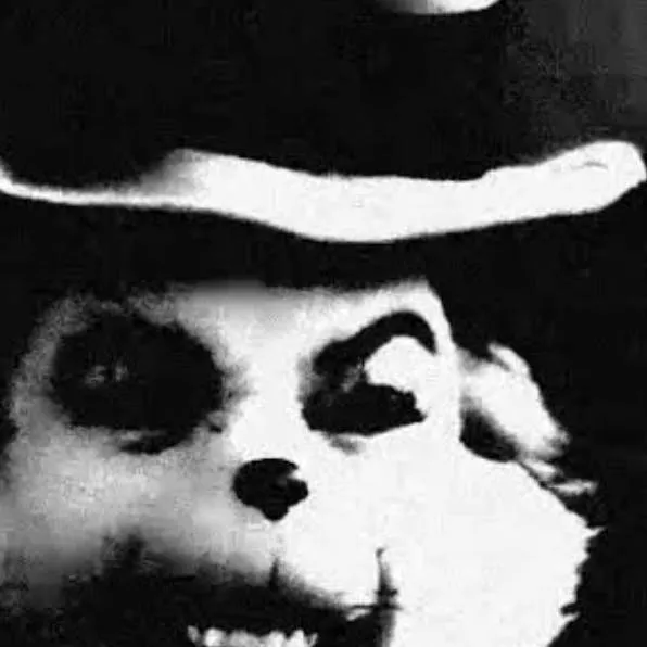 chat with ai character: cat in the hat
