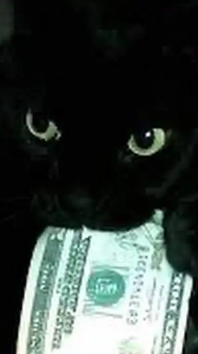 ai character: y background