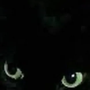 chat with ai character: y