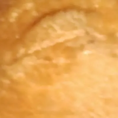 chat with ai character: How to get fat