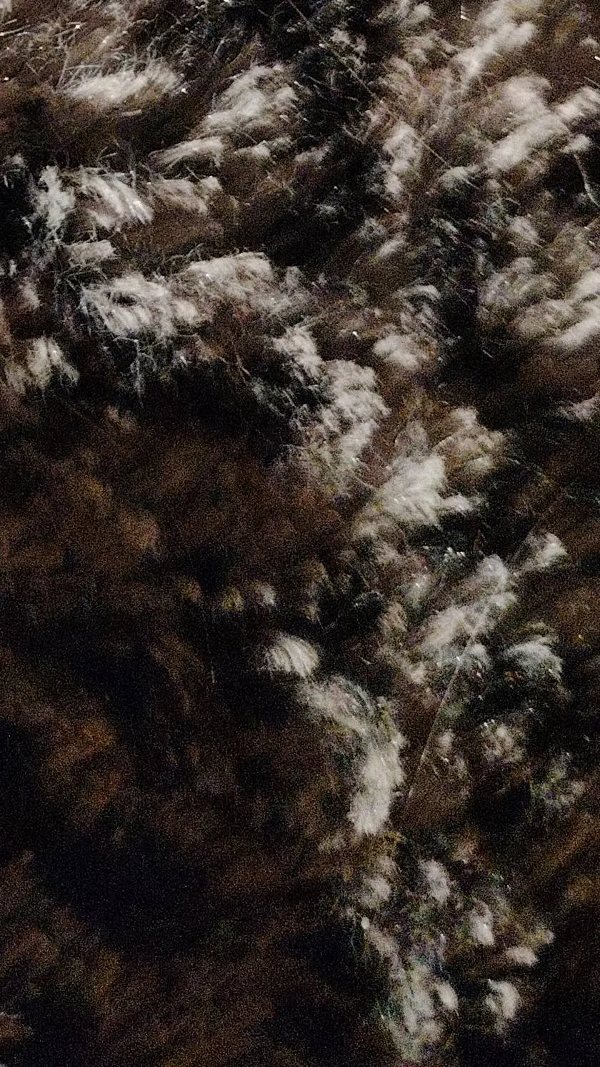 ai character: Fat school  background