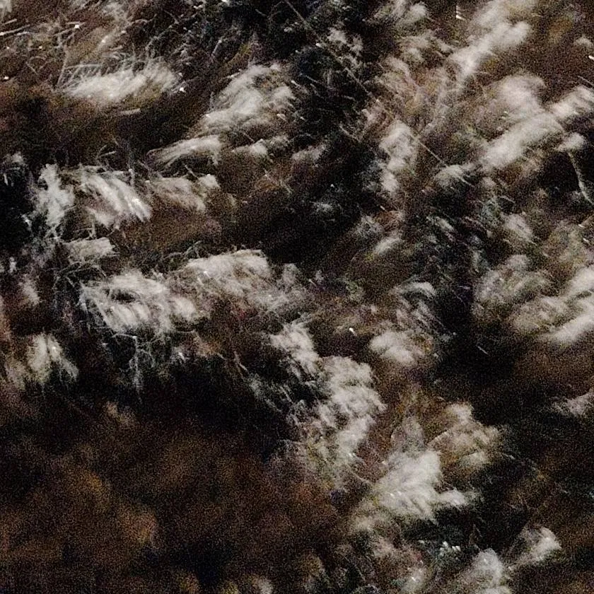 chat with ai character: Fat school 